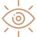 vision icon
